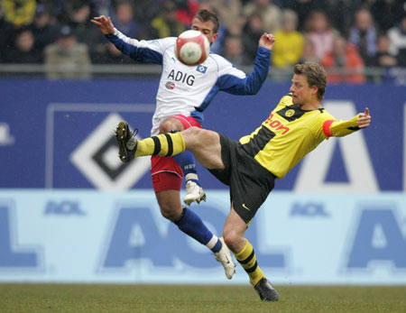 定期梳理工 定期梳理工